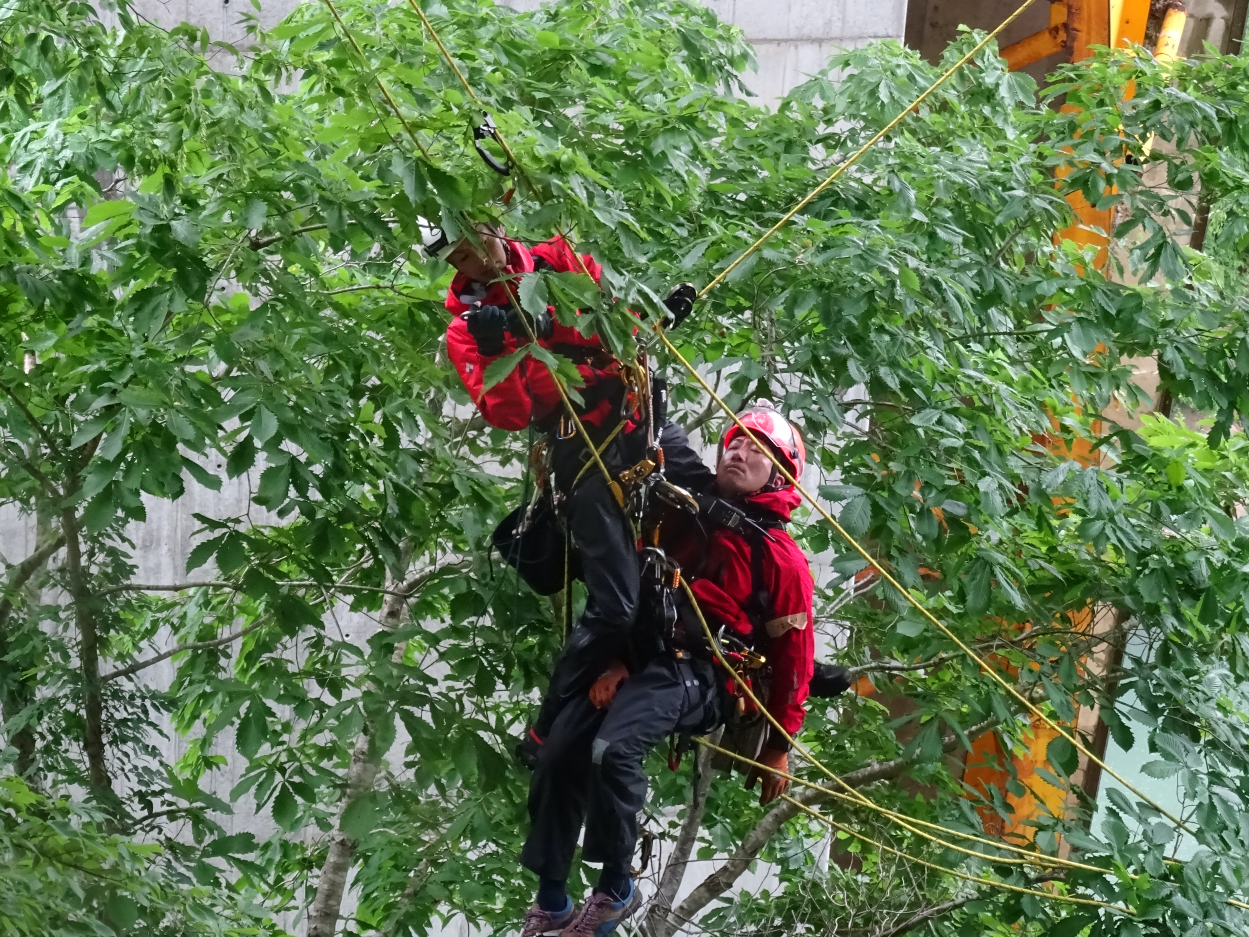 オンサイトレスキュー